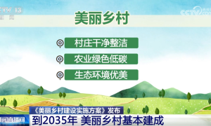 告别传统外墙！卡本水包砂为美丽乡村披上“新外衣”